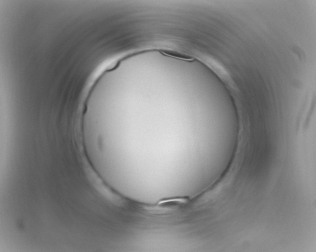 X0000115301200200911231303