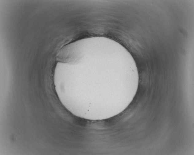 X0000115301201200911231302