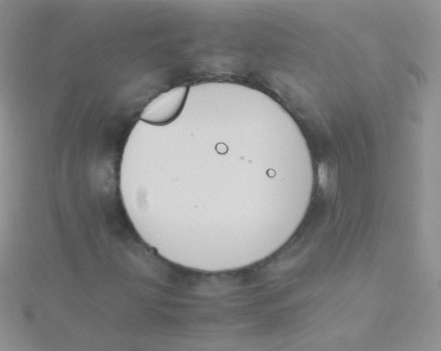 X0000115301203200911231302