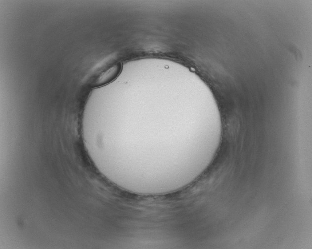 X0000115301205200911231302