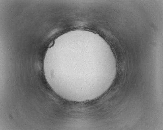 X0000115301206200911231302