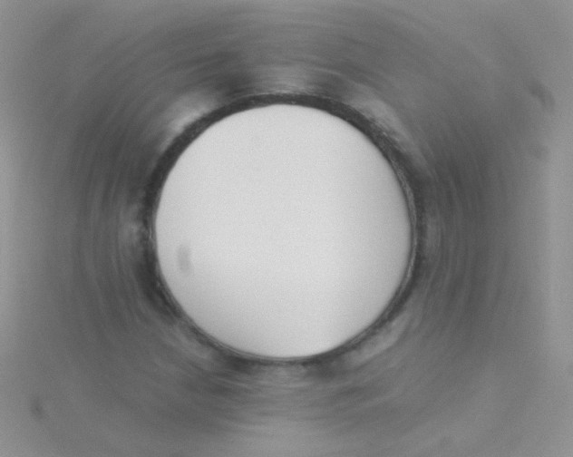 X0000115301210200911231302