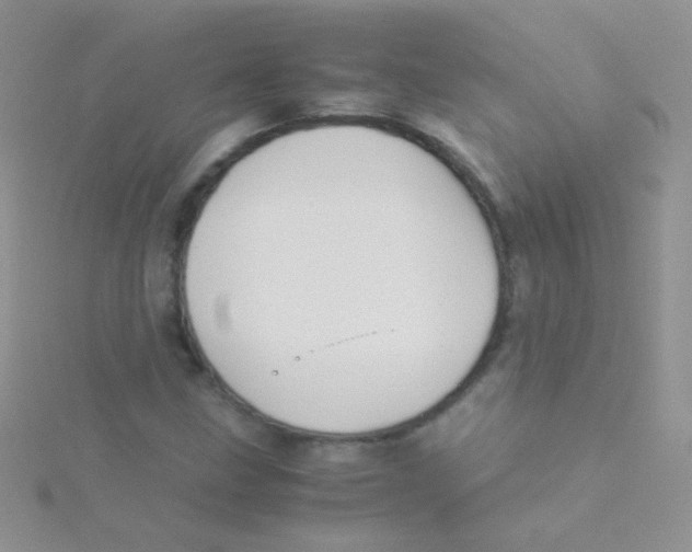 X0000115301211200911231302