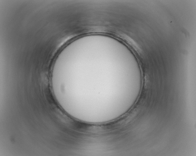 X0000115301212200911231302