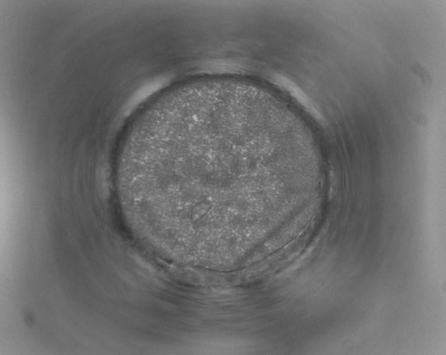 X0000115301213200911231302