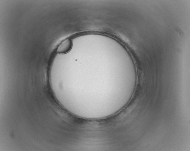 X0000115301214200911231302