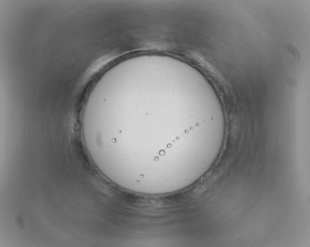 X0000115301215200911231302