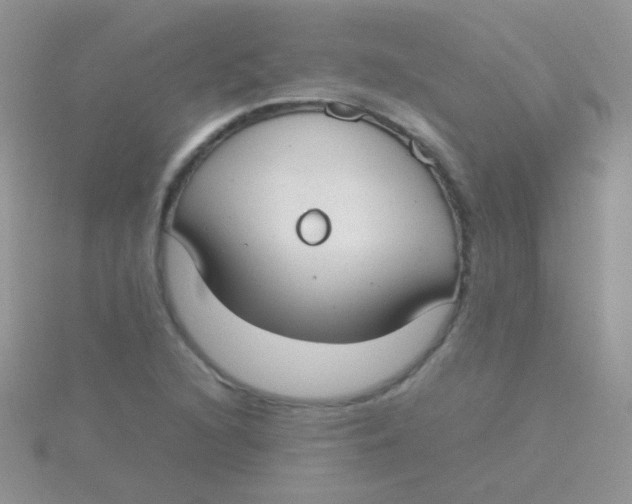 X0000115301216200911231302