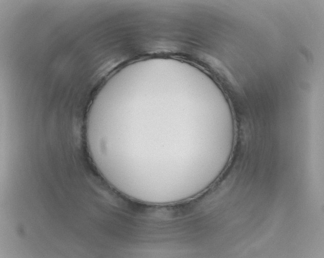 X0000115301217200911231302