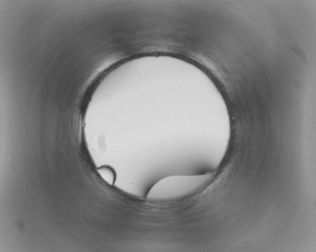 X0000115301219200911231302