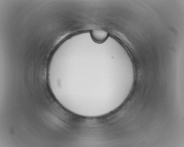 X0000115301220200911231302