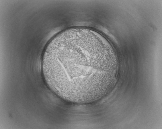 X0000115301221200911231302