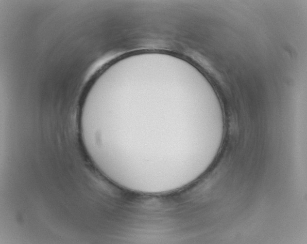 X0000115301222200911231302