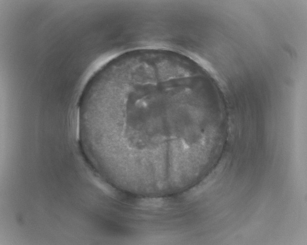 X0000115301223200911231302