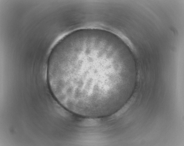 X0000115301224200911231302