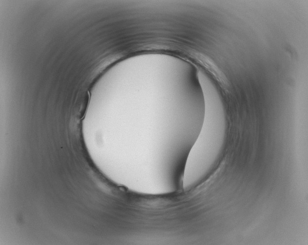 X0000115301225200911231302