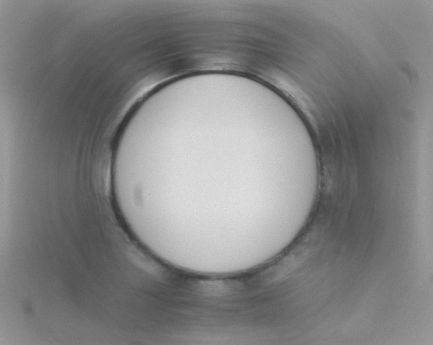 X0000115301227200911231302