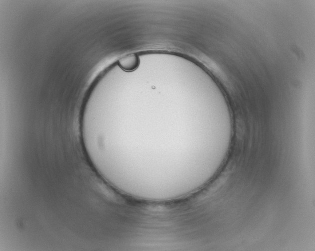 X0000115301230200911231302