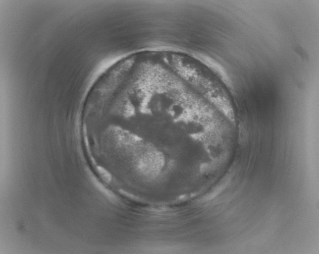 X0000115301231200911231302