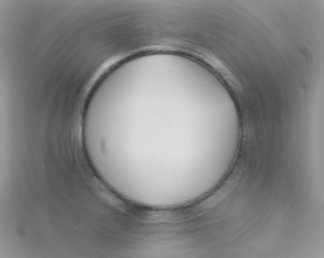 X0000115301232200911231303