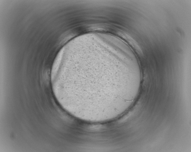 X0000115301233200911231303