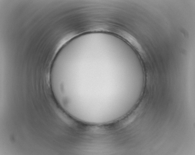 X0000115301234200911231303