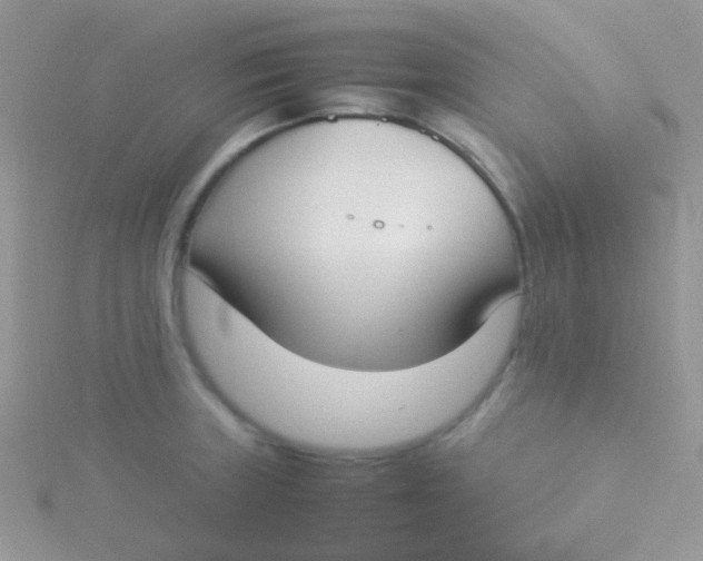 X0000115301235200911231303