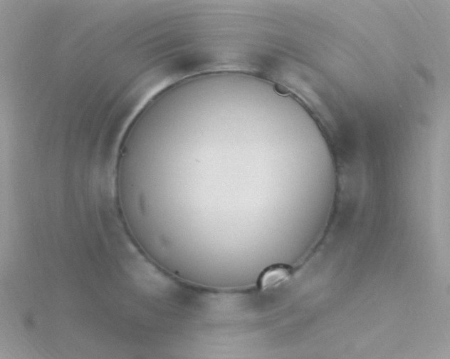 X0000115301236200911231303