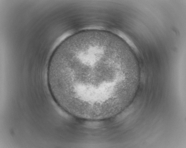 X0000115301237200911231303