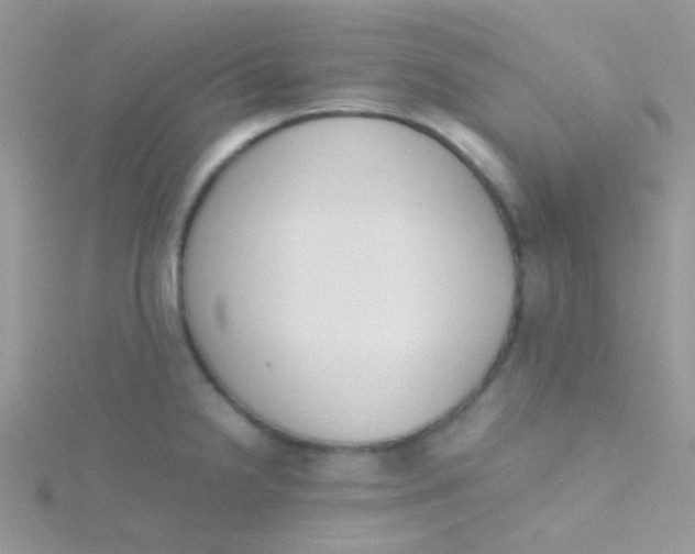 X0000115301238200911231303