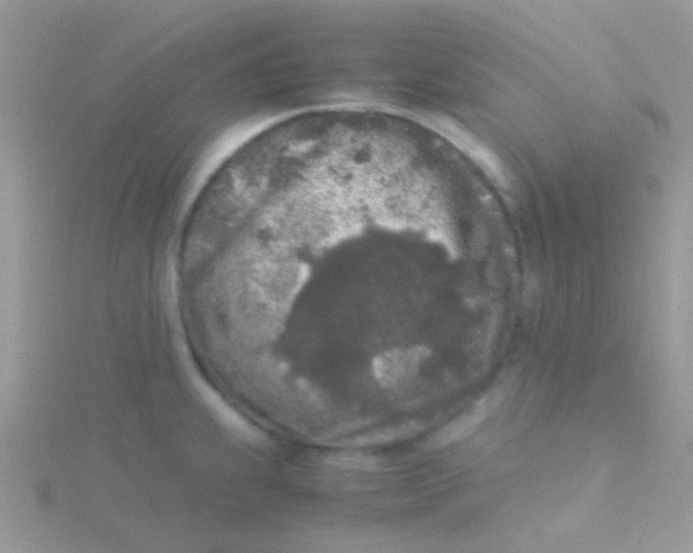 X0000115301239200911231303