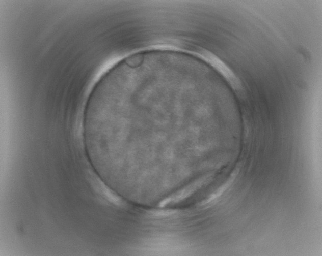 X0000115301240200911231303