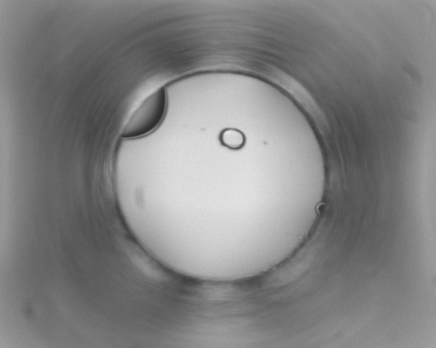 X0000115301242200911231303