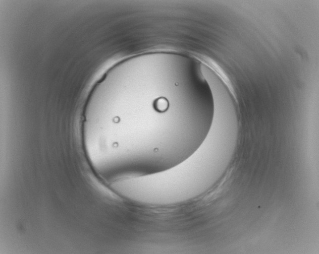 X0000115301243200911231303