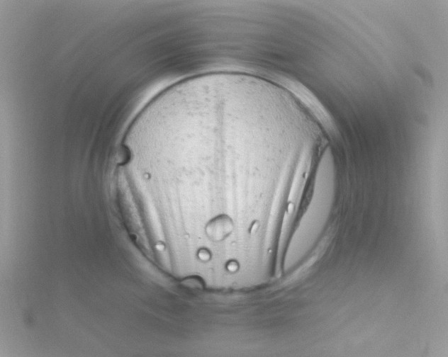 X0000115301244200911231303