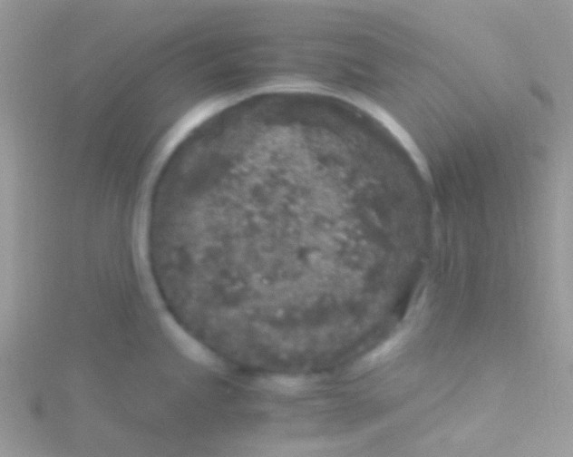 X0000115301245200911231303