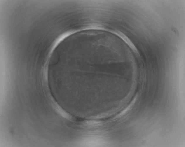 X0000115301246200911231303