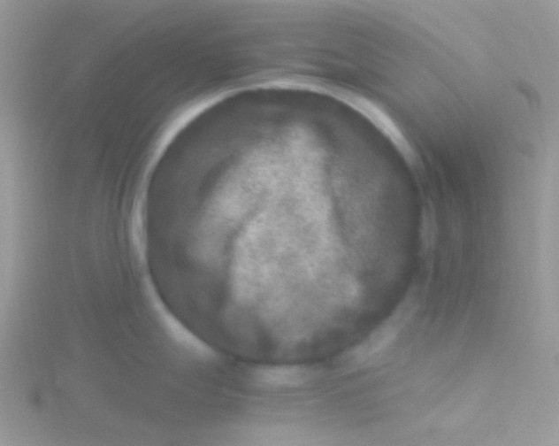 X0000115301247200911231303