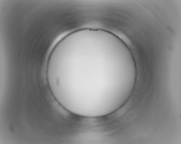 X0000115301248200911231303