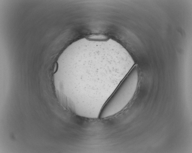 X0000115301249200911231302