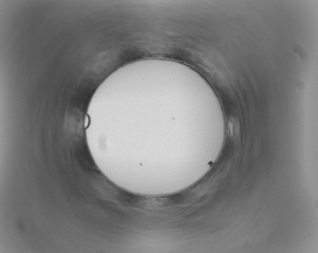 X0000115301251200911231302