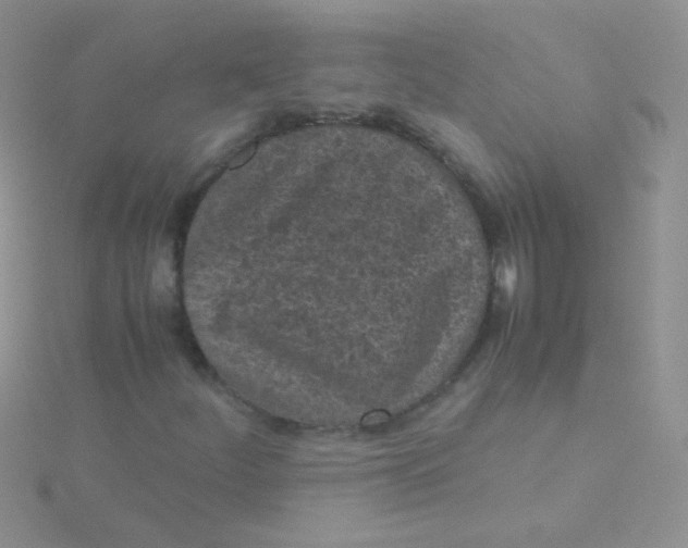 X0000115301252200911231302