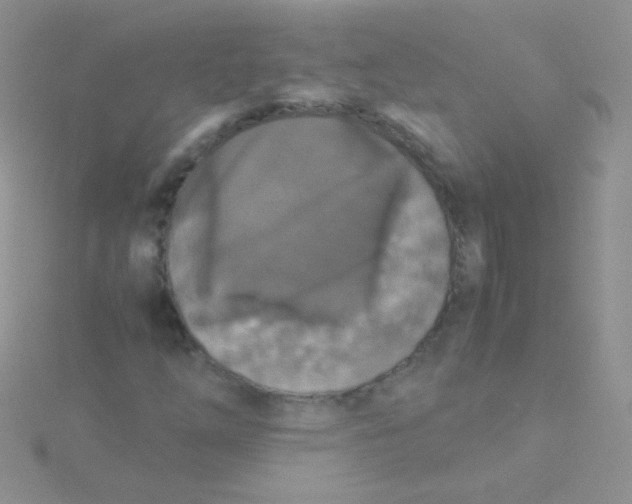 X0000115301254200911231302