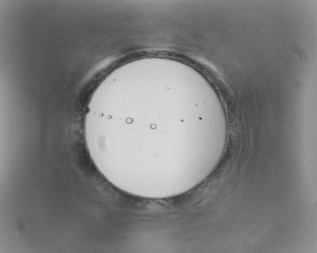 X0000115301255200911231302