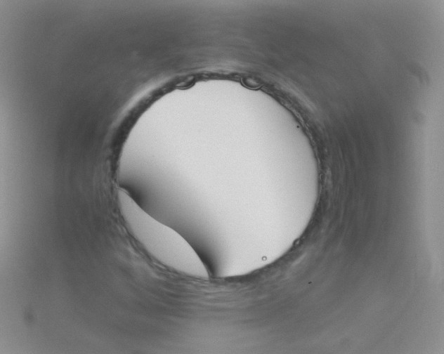 X0000115301256200911231302