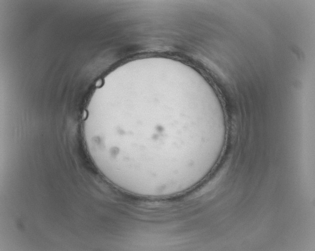 X0000115301257200911231302