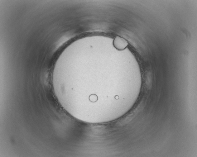 X0000115301258200911231302