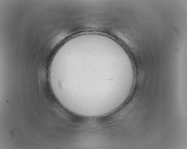 X0000115301259200911231302