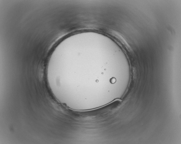 X0000115301260200911231302