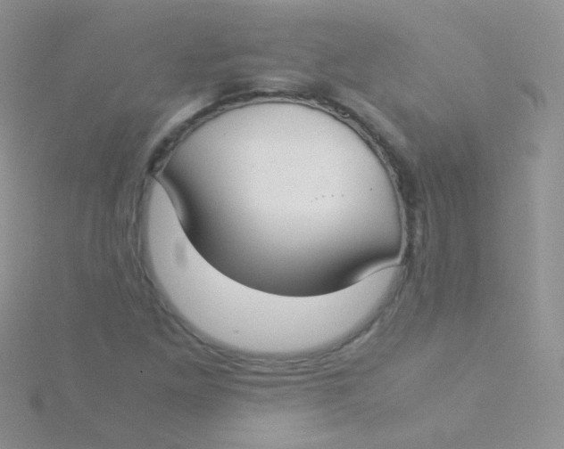 X0000115301261200911231302